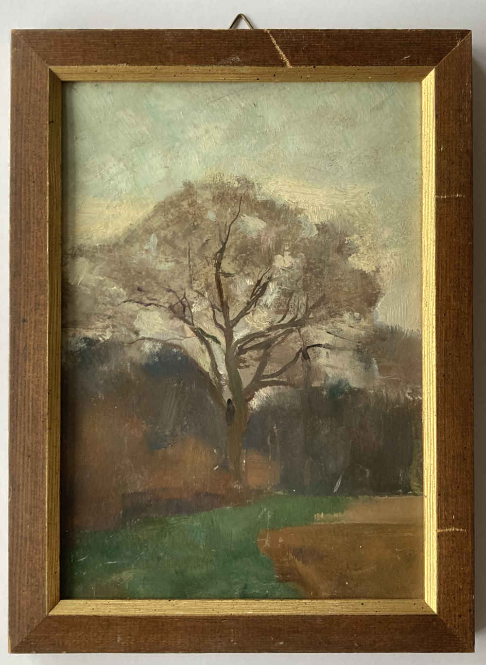 Albert Jakob WELTI (* 1894, † 1965) - Árbol - Pintura al óleo - Imagen 2