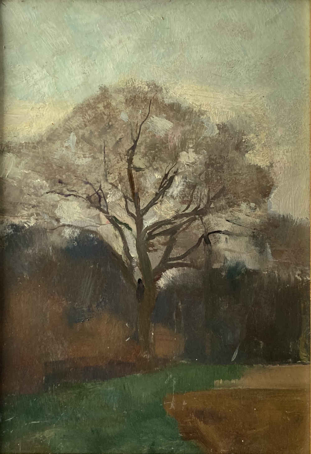 Albert Jakob WELTI (* 1894, † 1965) - Árbol - Pintura al óleo