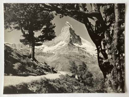 Alfred PERREN-BARBERINI (* 1896, † 1967) - Vue sur le Cervin depuis forêt d'aroles de Riffelalp - Photographie – Image 2