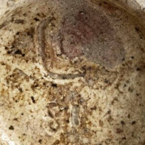 Signature de Ernst Häusermann : E dans un cercle et année en dessous.