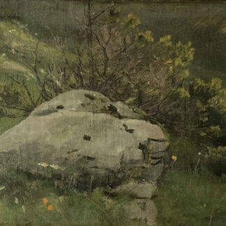 Hans BACHMANN (* 1852, † 1917) – Mountain Landscape with Bush and Stone – Oil on canvas