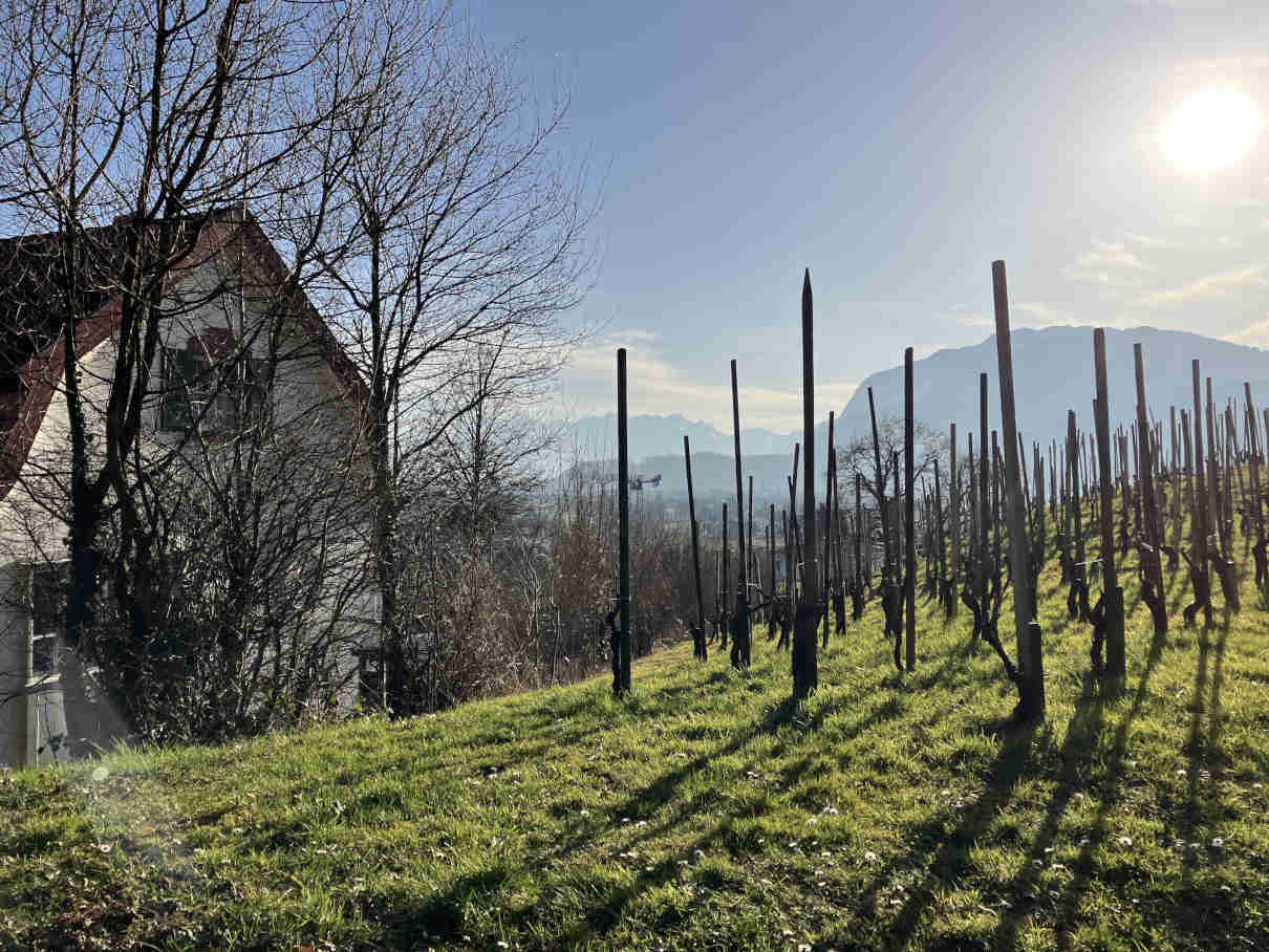 Casa Hedwig Scherrer (Villa Scherrer) con vistas al Hoher Kasten.
