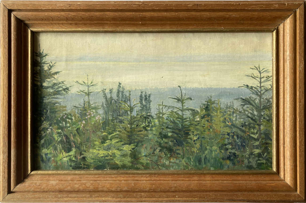 Henriette MEYRAT (* 1874, † 1954) – Vista sul lago di Neuchâtel sopra le cime degli alberi dalla stazione Chambrelien – Olio su tela - immagine 2
