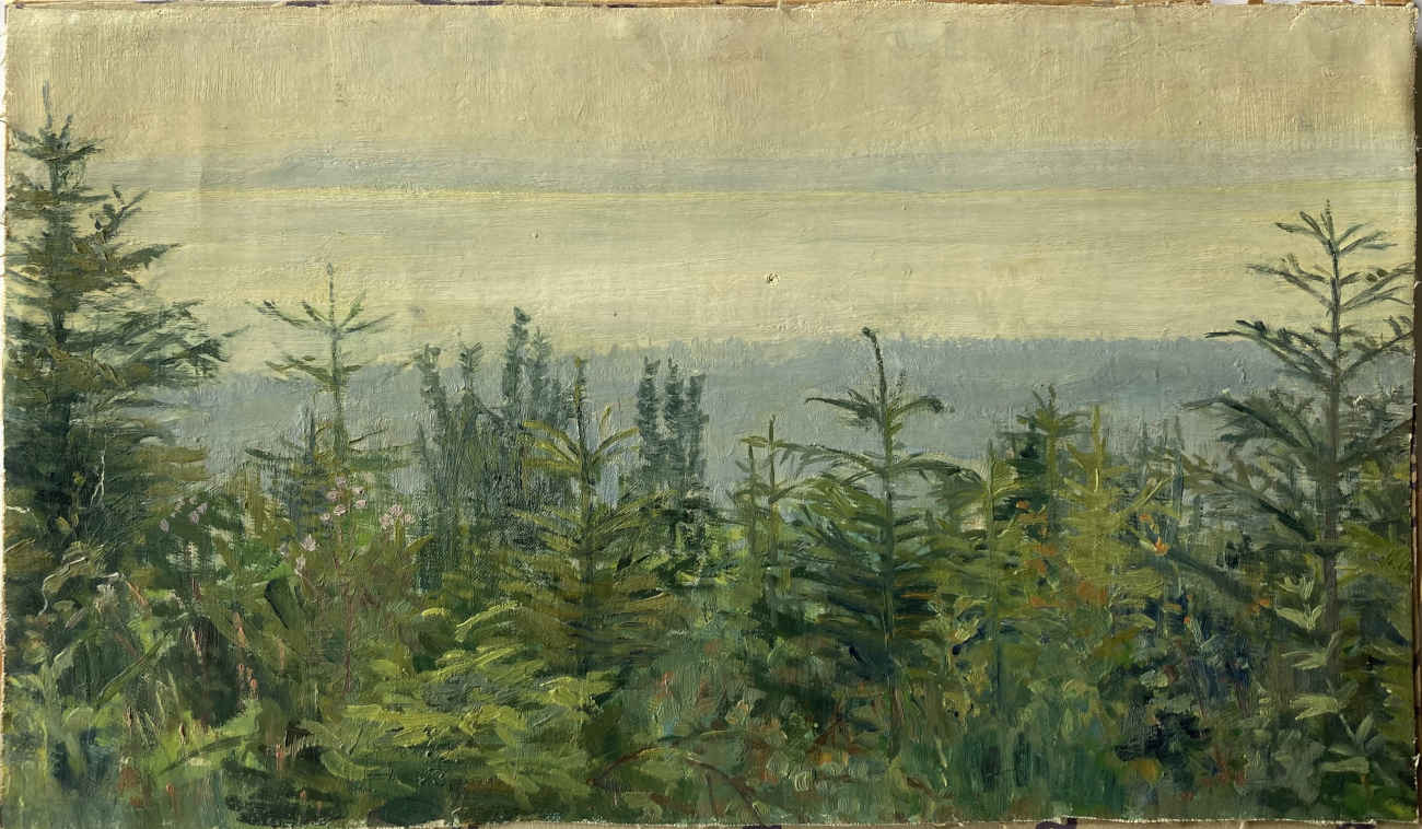 Henriette MEYRAT (* 1874, † 1954) – Vista sul lago di Neuchâtel sopra le cime degli alberi dalla stazione Chambrelien – Olio su tela - immagine 11
