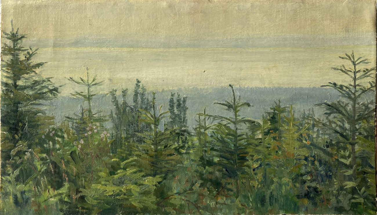 Henriette MEYRAT (* 1874, † 1954) – Vista sul lago di Neuchâtel sopra le cime degli alberi dalla stazione Chambrelien – Olio su tela
