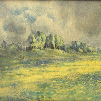 Hugo FREY (* 1878, † 1939) - Prato davanti al bosco - Quadro acquerello