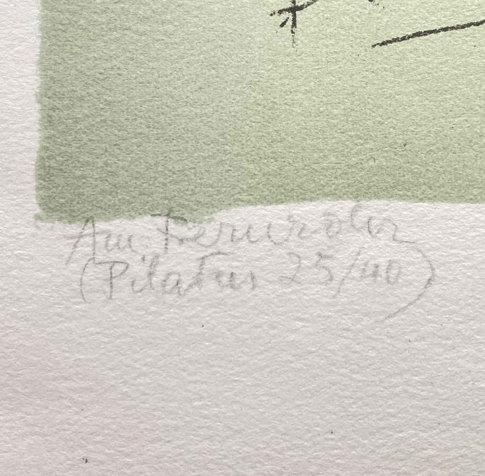 Marguerite FREY-SURBEK (* 1886, † 1981) - Am Fernrohr (Pilatus) - Lithografie – Bild 2