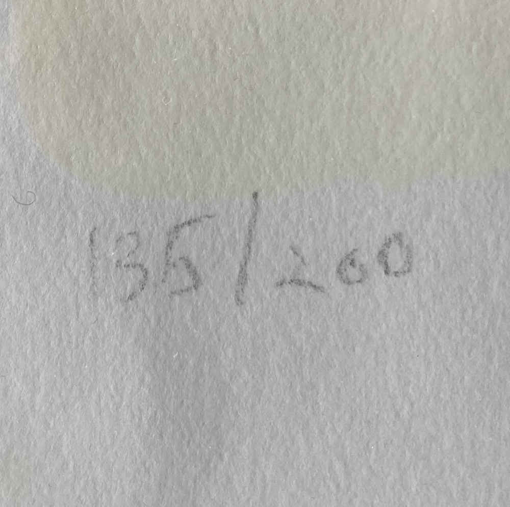 Marguerite FREY-SURBEK (* 1886, † 1981) - Paisaje - Litografía - Imagen 4