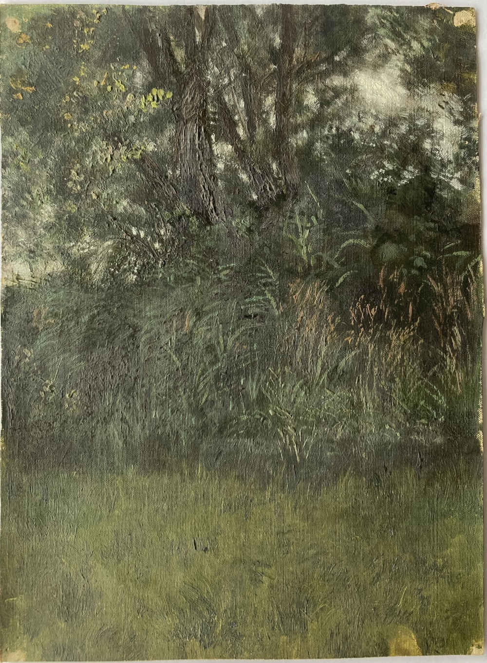 Paul DEMME (* 1866, † 1953) – Au bord des roseaux – Peinture à l'huile