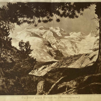 Photographie Panorama vers Bellavista (groupe de la Bernina) par le photographe Albert Steiner en taille-douce.